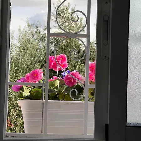 Casa Cordobesas Rural Holiday home