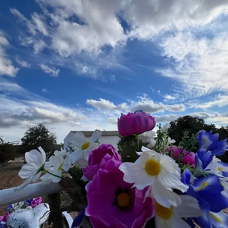 Casa Cordobesas Rural * Cordoba