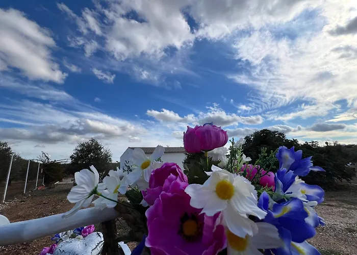 Casa Cordobesas Rural * קורדובה