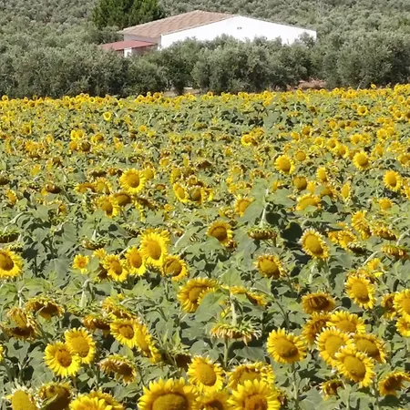 Casa Cordobesas Rural *