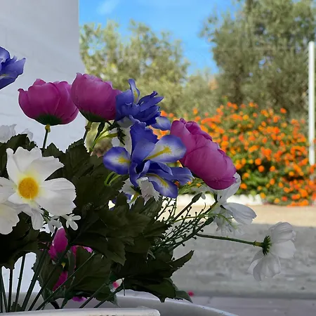 Casa vacanze Casa Cordobesas Rural *